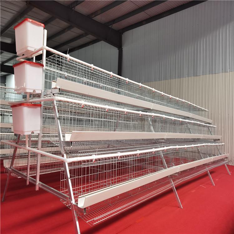 Layered Broiler Farm Equipment: Fully Automatic 3D Broiler Chicken Cages with Cleaning System