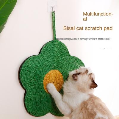 Kedi – Kedi Eğitim Aparatları