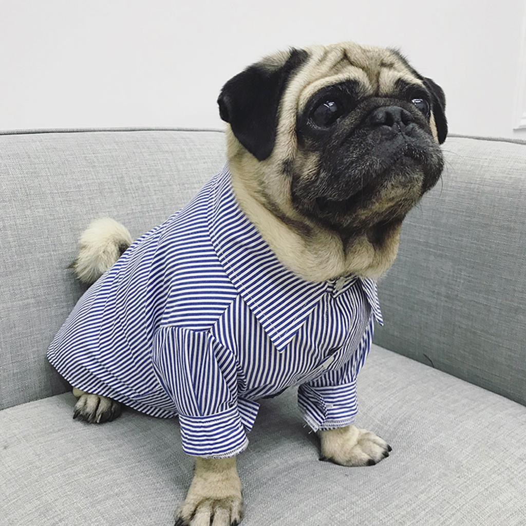 Haustier Gestreiftes Hemd Kleidung Blau Rot Mittelgroße Und Kleine Hunde Und Katzen