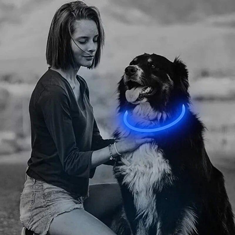 LED-Hundehalsband, leuchtendes USB-Hundehalsband für Katzen, 3 Modi, LED-Licht, leuchtendes Verlustpräventions-LED-Halsband für Hunde, Haustier-Hundezubehör