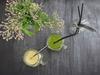 REUSABLE METAL STRAWS ECO TUBES + CLEANER