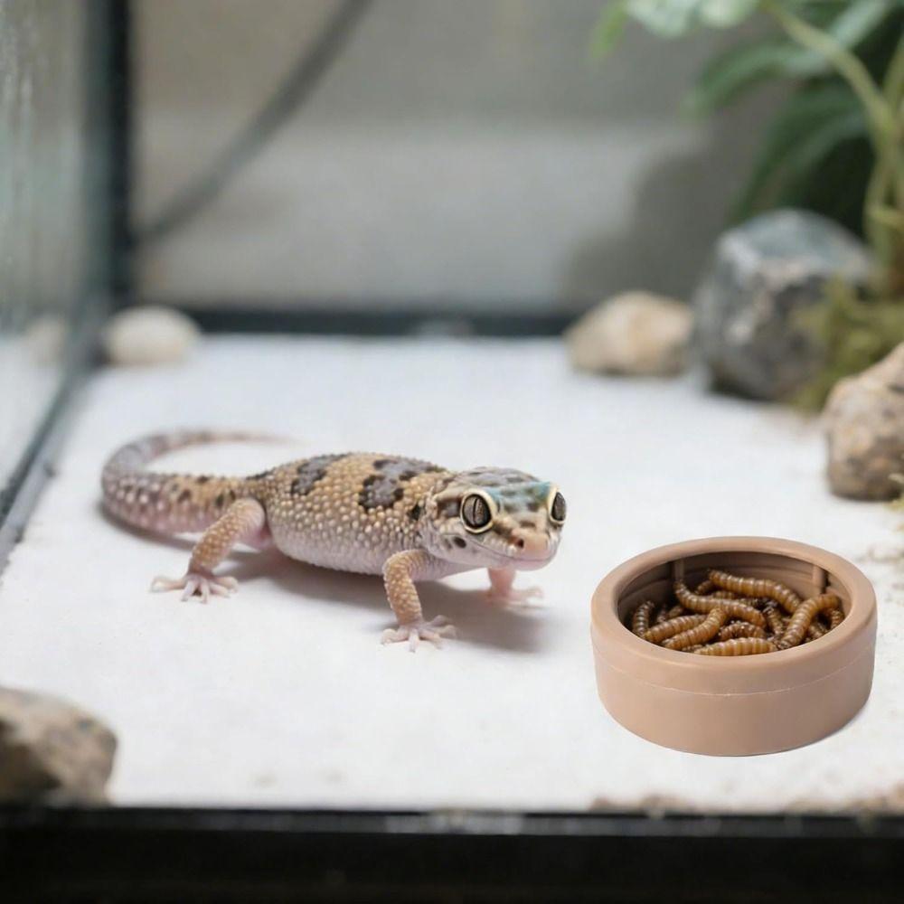 Non-Tip Reptile Food Dish Compact Reptile Bowls Portable Mealworm Feeder Cups Chameleon