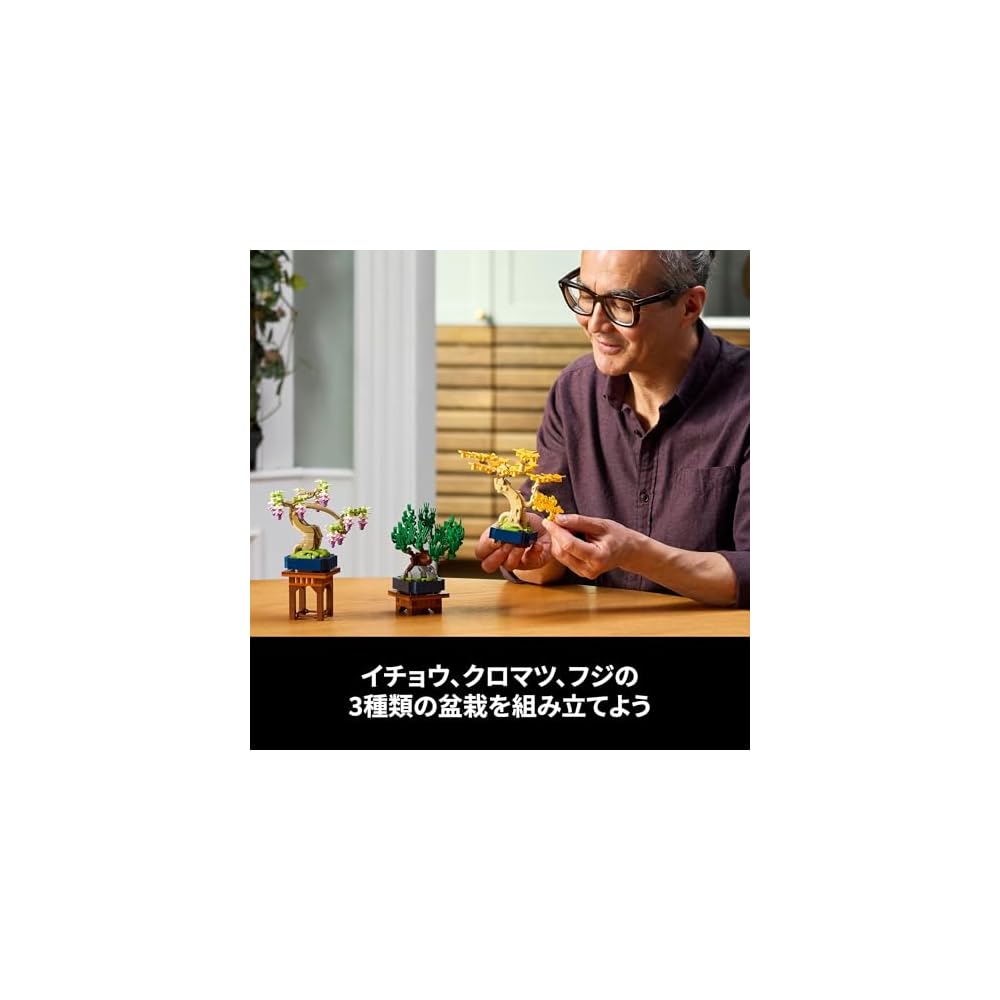 LEGO Botanical Mini Bonsai Toy Building Set 10373 for Home Decor and Art, Ideal Gift for Men and Women