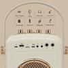 Newsmy K513 Portable Bluetooth Karaoke Speaker System CN Plug (adapter Included)