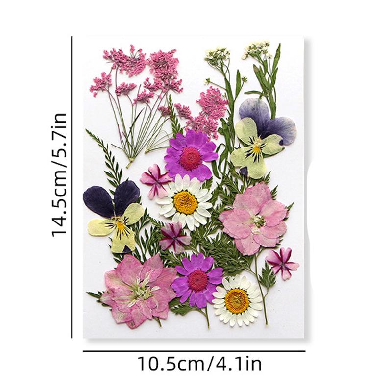 Pressed flower and dried flower craft kit, facial decoration for eye corner photo props, DIY resin photo frame with petals