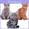 Adorável Almofada de Gato de Simulação 3D de 50cm Brinquedo de Pelúcia Almofada Para Decoração Aconchegante de Casa