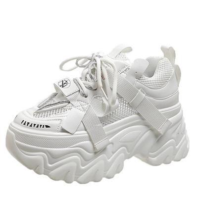 Mode 2024 Herfst Dames Casual Sports Hoge Plateau Schoenen All-match Comfortabele Dames Chunky Sneakers Mesh Ademende Lente Schoenen