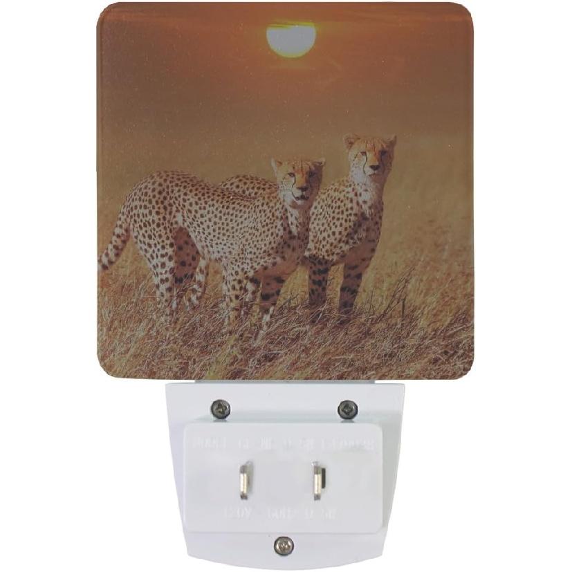 Plug-in LED Night Light Lamp Two Cheetahs Printing with Dusk To Dawn Sensor for Bedroom, Bathroom, Hallway, Stairways, 2 Pack-0.5W