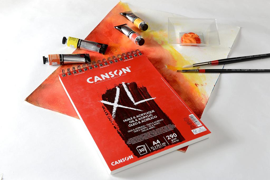 Maruman Canson XL Oil Acrylic A4 30 Sheets 110-401