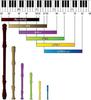 Toyama Musical Instruments AULOS Symphony (Wood Grain Finish) Soprano Recorder German Style 502BW(G) Cap Set