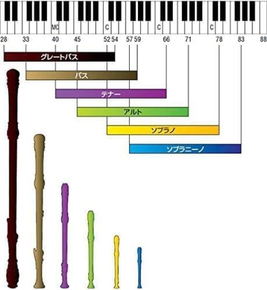 Toyama Musical Instruments AULOS Symphony (Wood Grain Finish) Soprano Recorder German Style 502BW(G) Cap Set