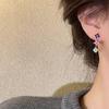 Zircon Flower Fringed Earrings Niche Versatile Stud Earrings Fashion Temperament Earrings