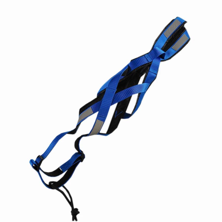 

Dog Outdoor Sled Harness Dog Weight Training Leash Husky Satsuma Scooter Leash M синій