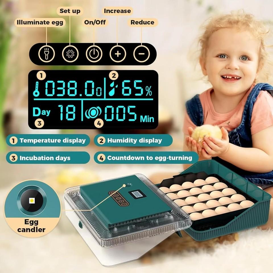 25 Egg Digital Incubator Fully Automatic Hatching Machine Automatic Water Supply