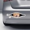 Scratch Covering Zipper Stickers Cat Pet Car Stickers New Car Stickers  Pet Decoration