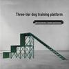Professional Canine Agility and Obedience Training Equipment