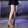 2025 New Autumn Women's Stretch Boots Square Head Square Heel Back Zipper Platform Heels Women Short Boots Waterproof Platform