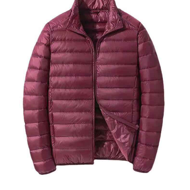 Men's 2026 Lightweight Warm White Duck Down Jacket with Stand Collar