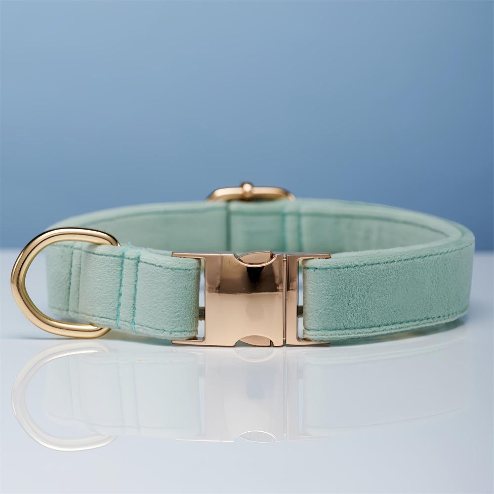 Ensemble collier et laisse pour chien en velours gravé avec boucle métallique réglable