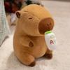 Bottle Capybara Ab Dress Up Cartoon Plush Toys Childres Birthday Gifts Dolls