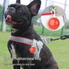 Comfortable Reflective Dog Harness and Leash Set