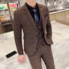 Britisch-koreanische Plaid-Männer (Anzug + Weste + Hose) Stilvoller und schöner dreiteiliger Business-Casual-Anzug