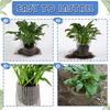 15Piece Stainless Steel Mesh Root Guard Gopher Baskets Protective Covers For Garden Plants Root Tree Vegetable Bird Animals