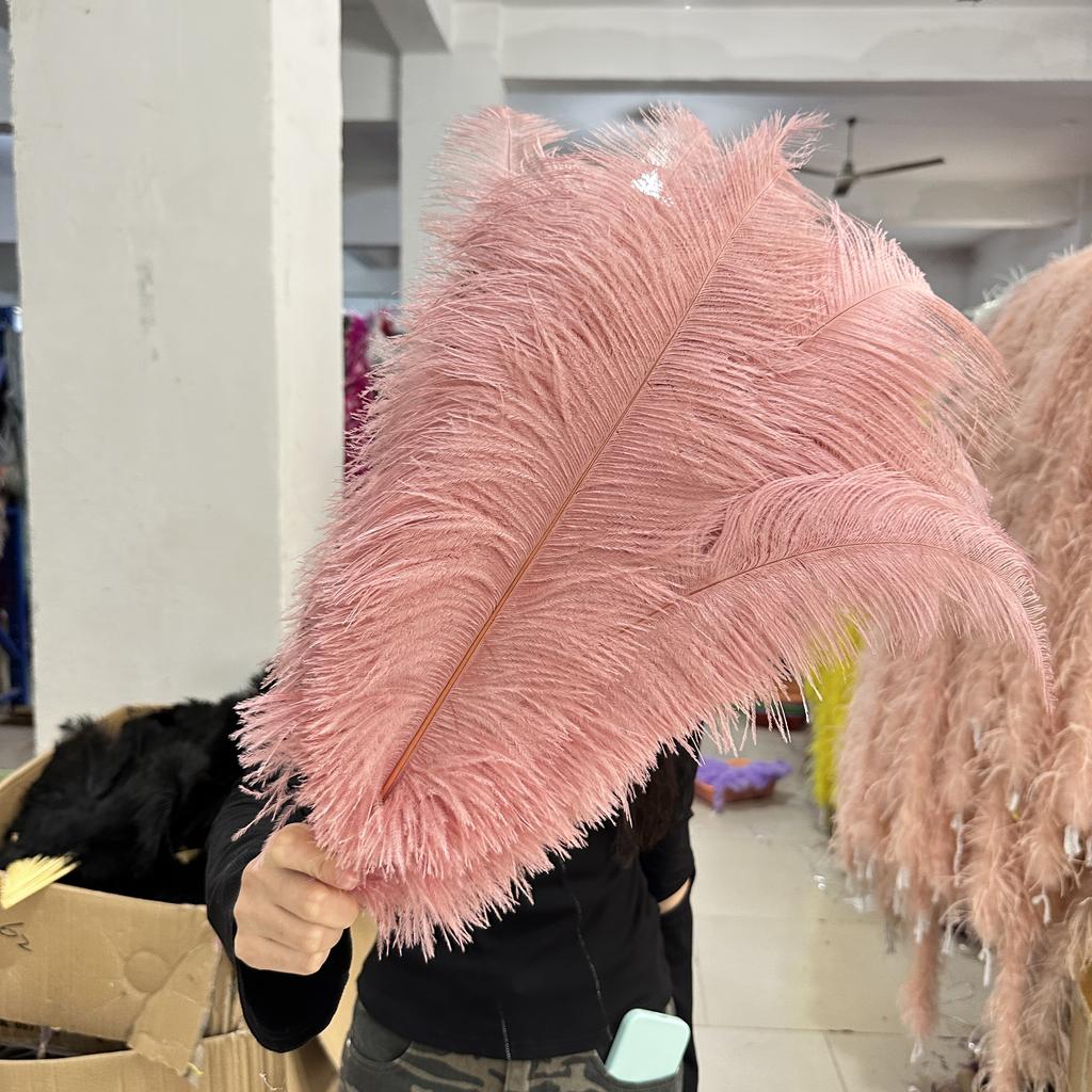 10pcslolt 45-50cm Ostrich Feather for Crafts Wedding Party Decor Plumes Ostrich Table Centerpieces Colored Feathers Decoration