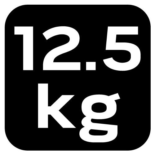 Workshop lift, frog 2.5 T