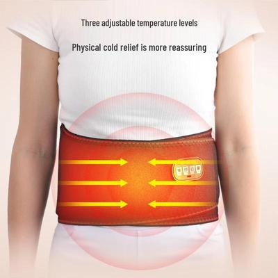 Premium Electric Heating Massage Waist Protector CN Plug (adapter Included)