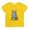 T-shirt per bambini Trotro Cartoon 100% Cotone Stampa Anime T-shirt 2-12 Anni Manica Corta Bambini Ragazze Quotidiano Casual Toddler Estate