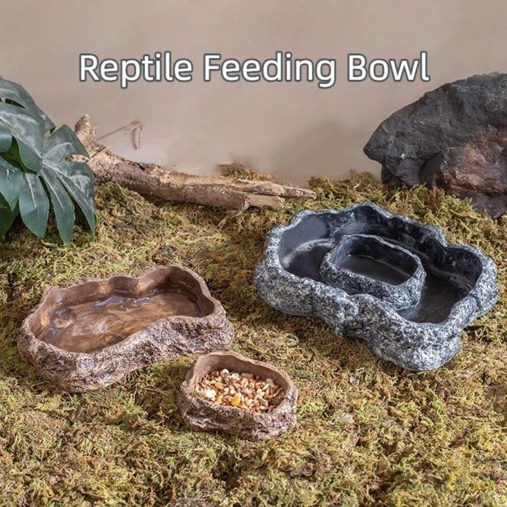 New Simulated Rock Reptile Food Bowl Multiple Size Habitat Decor Lizard Food Dish Anti-slip Base Pet Reptile Feeder Pet Supplies