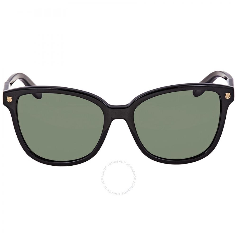 

Salvatore Ferragamo Green Square Unisex Sunglasses Sf815s 001 56