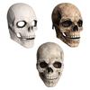 Maschera Teschio Realistica con Mascella Mobile Spaventosa Decorativa Casco in Lattice Casco Scheletro per Cosplay Costume Outdoor Adulto Carnevale