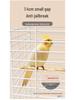 Luxury Birdcage with Breeding Box for Parrots and Budgies - Large Aviary for Cockatiels, Mynas, and More