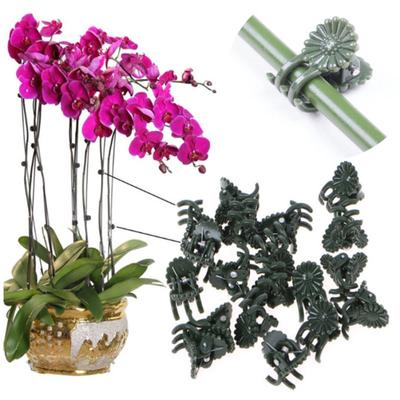 50Pcs Plastic Plant Support Clips Orchid Flower Stem Vine Clamp Grafting Tool