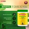 Baidyanath Ashwagandhadi Churna 100g X Pack of 2 Ayurvedic Herbal Powder for Energy and Vitality