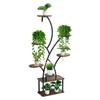 Plant Stand Indoor with Grow Lights, 157.5cm Tall 8-Tier Lighted Plant Shelf, Metal Corner Plants Holder, 3 Timer & 10 Brightness, Tree-Shaped Flower