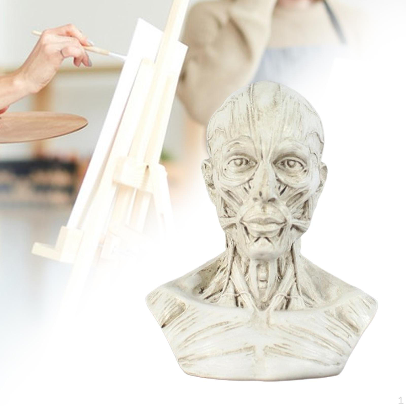 

Скульптура головы для домашнего декора White