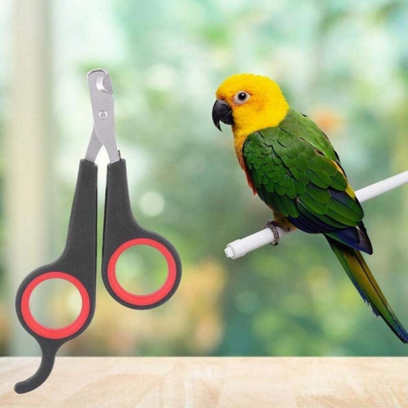 Pet Nail Scissors for Dogs Cats Birds Parrots, Professional Claw Trimmers for Small Animals, Safe and Effective Nail Care Tool