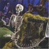 Funny Skeleton Mermaid Skeleton Flexible Plastic Halloween Fish Skeleton 80cm Decoration Fish Skeleton Statue Halloween