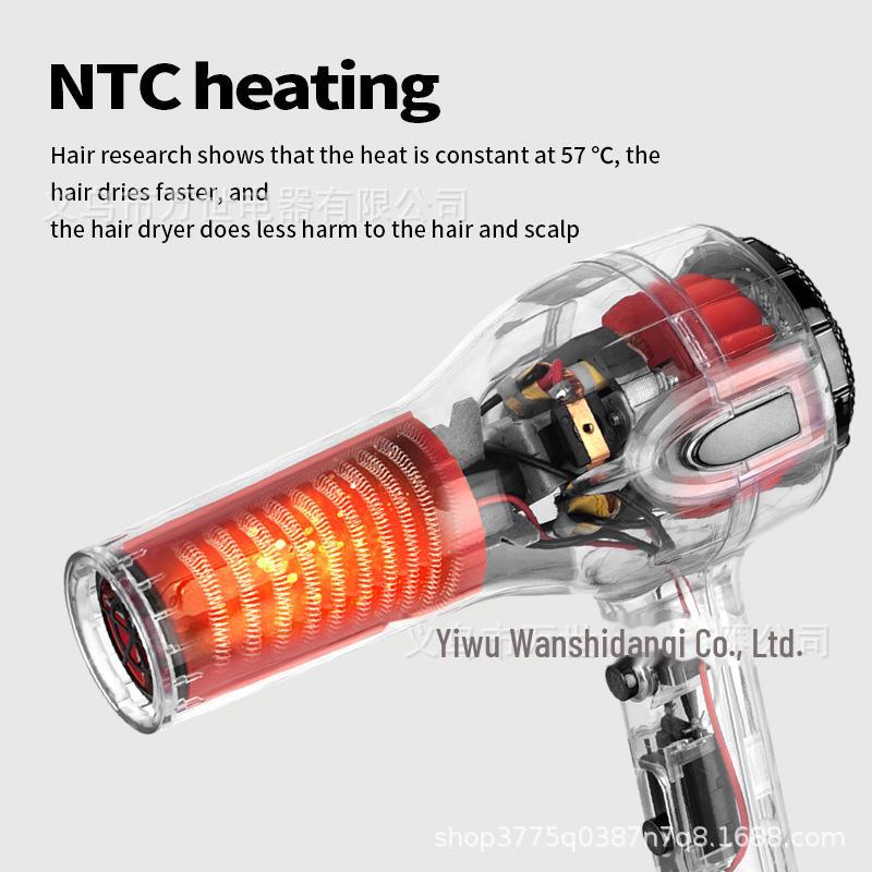 High-Power Professional Salon Hair Dryer with Hot & Cold Settings and Constant Temperature Hair Care