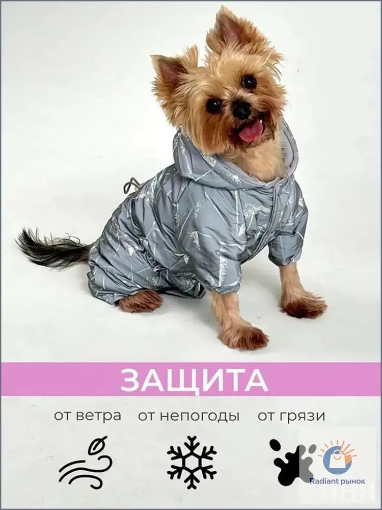 Reflective jumpsuit for pets and small dogs, exclusive, for night walks -Quality guarantee