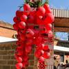 Acessórios para festas – Acessórios para organizar festas