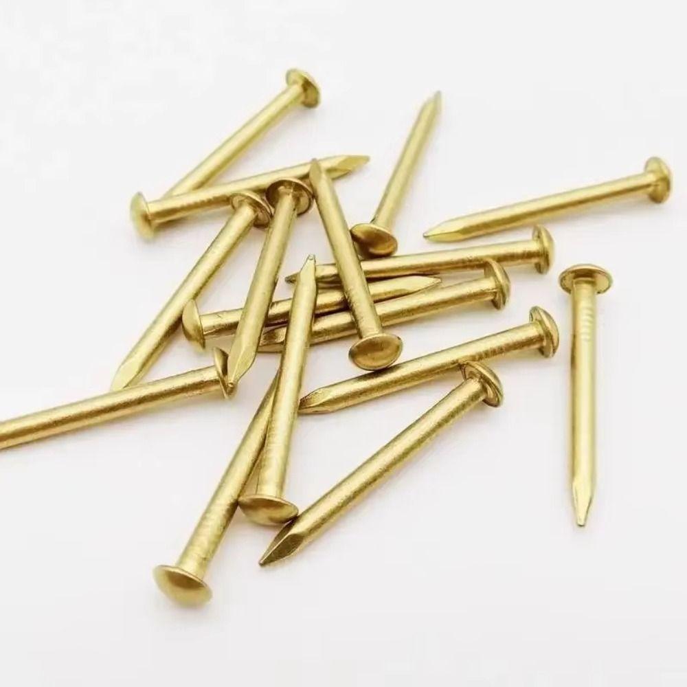 100 pcs Pure Brass Brass Nails Rust-proof Brass Nail Track Mini Round Head Pins Fine Repair