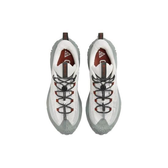 Nike ACG Mountain Fly 2 Low GORE-TEX 'Phantom Light Silver' Unisex HF6245-003