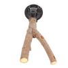 Bird Branch Perch Stand Training Interactive Prevent Slip Wooden Parrot Perch with Suction Cups for
