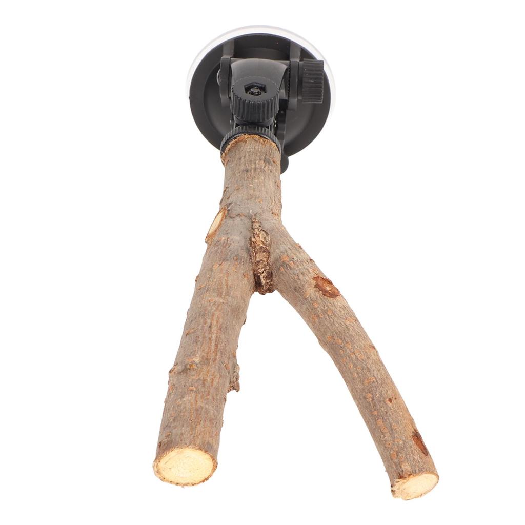 Bird Branch Perch Stand Training Interactive Prevent Slip Wooden Parrot Perch with Suction Cups for