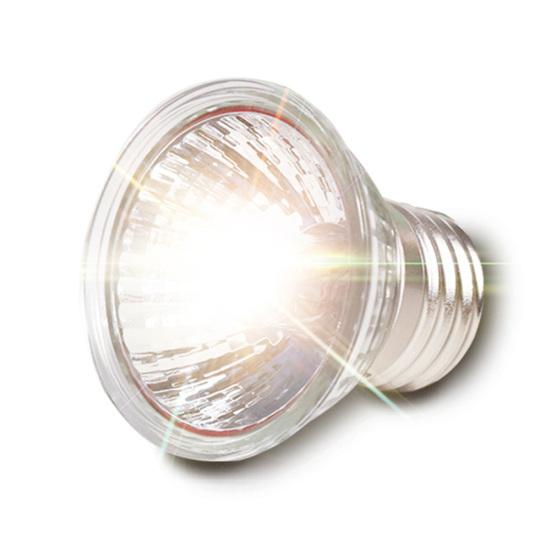 25/50/75W UVA+UVB 3.0 Verwarmingslamp Lamp voor Reptiel Schildpad Hagedissen Zonnen