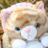 Cute Lifelike Kitten Plush Toy with Sleeping Nest Soft Stuffed Animal Fluffy Cat Doll Fun Desktop